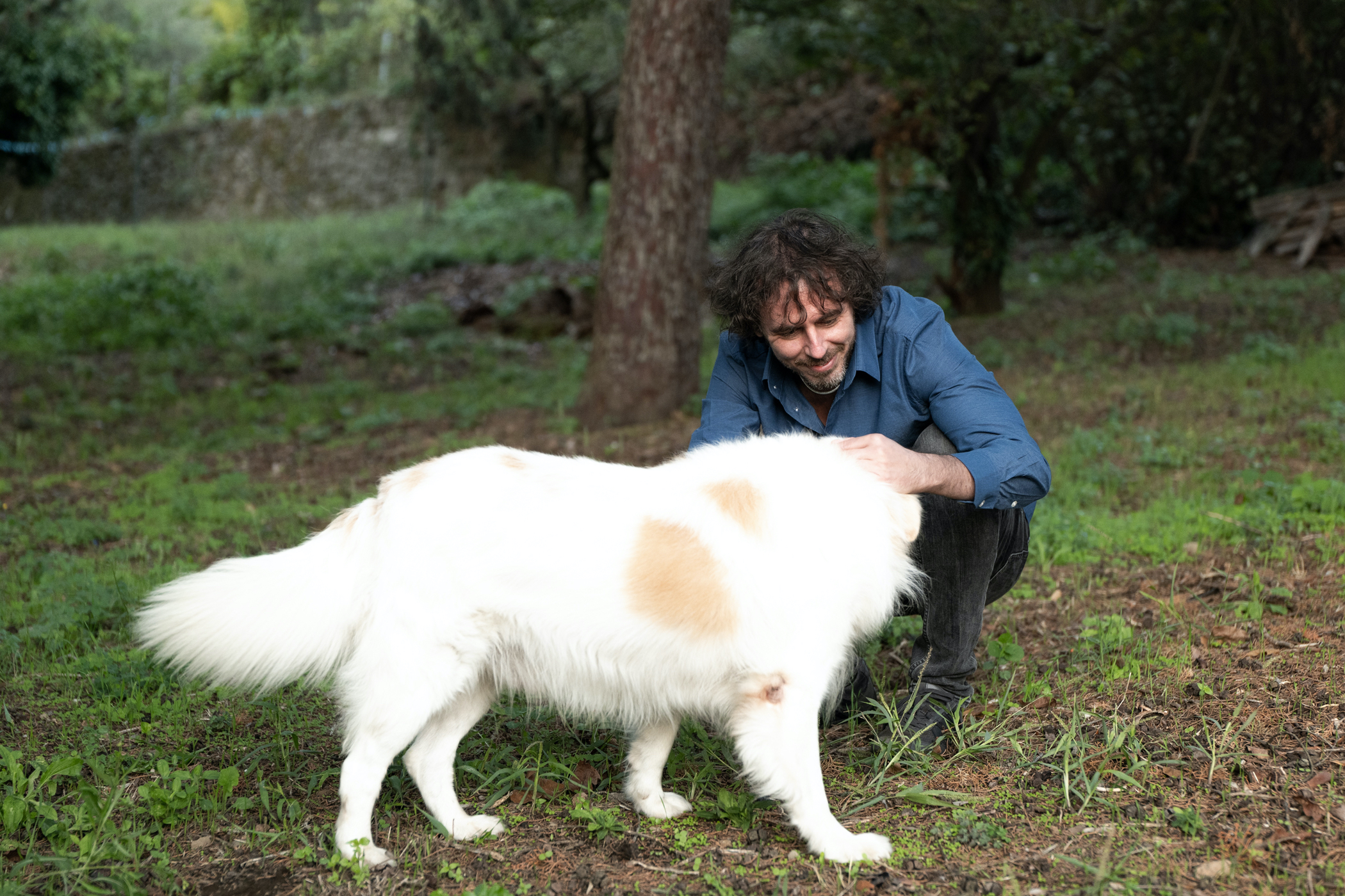 La foto mostra Francesco Trento in campagna, mentre accarezza un grosso cane